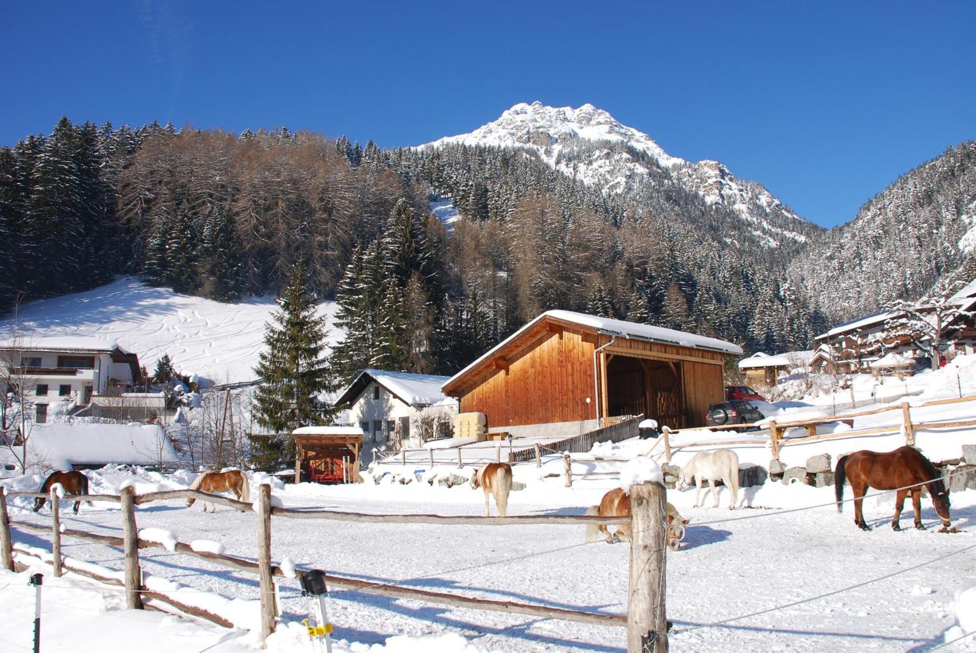 Kassnhof - Urlaub In Den Bergen Apartment Telfes im Stubai Exterior photo